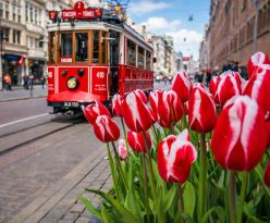 Фестивал на лалетата в Истанбул, Турция с автобус от Варна - 3 нощувки